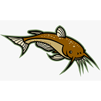CFISH