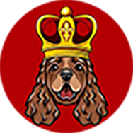 DOGEKINGS