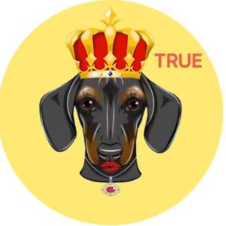 DOGEQUEEN