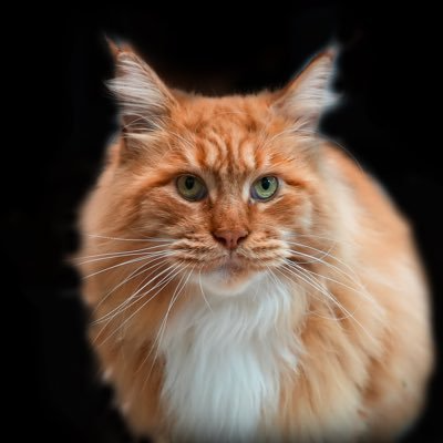 FATCAT