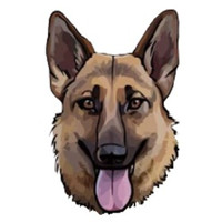 GSD