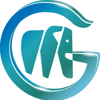 GMMT