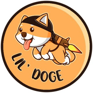 LILDOGE
