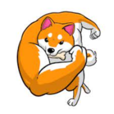 MEGASHIB