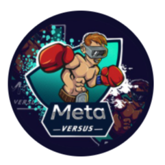 METAVS