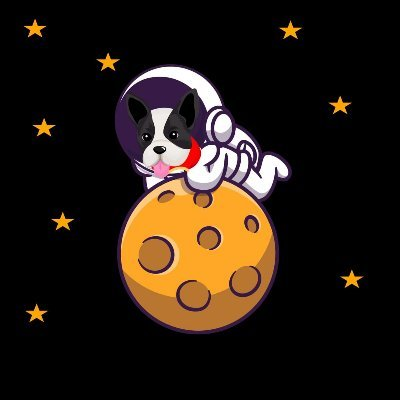 SPACEDOGE