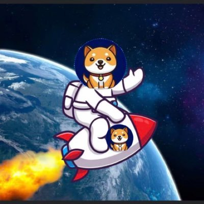 STARSHIPDOGE