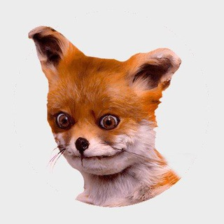 SFOX